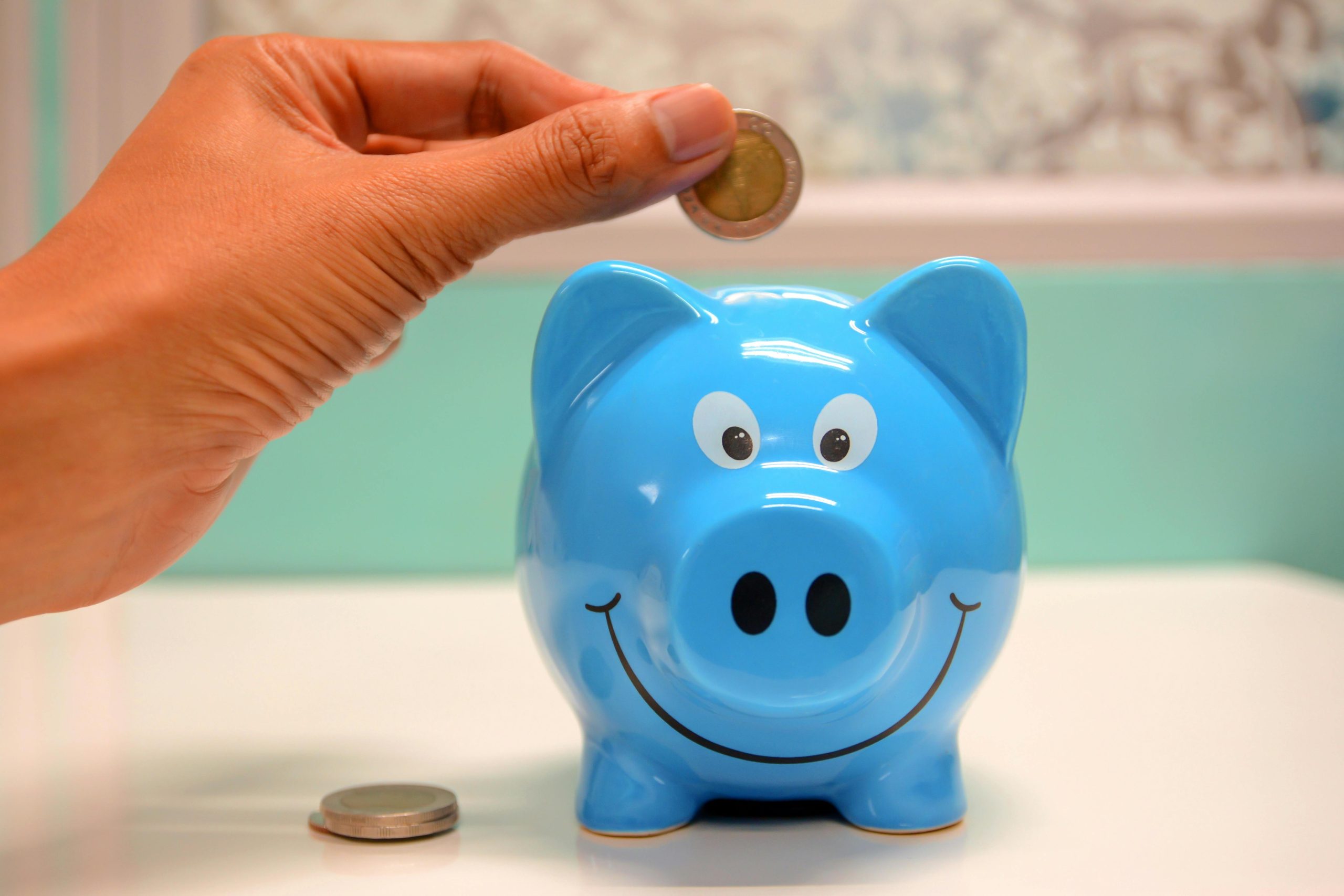 savings piggy bank